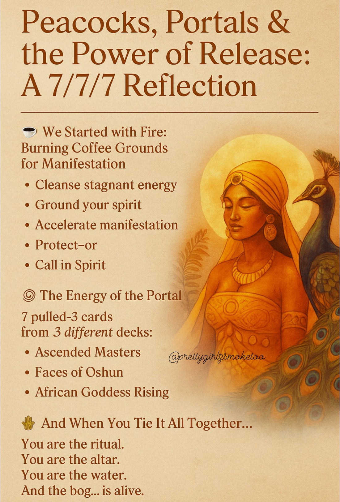 Peacocks, Portals &amp; the Power of Release: A 7/7/7 Reflection